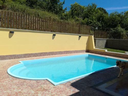 Villa Oasi Relax