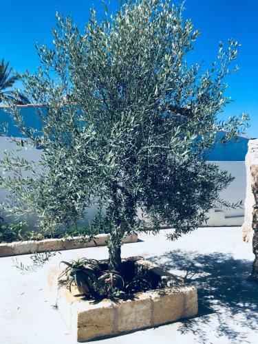 Casa Vacanze "le Gebbie"