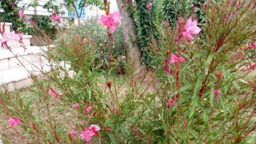 B&B Conca Del Faro