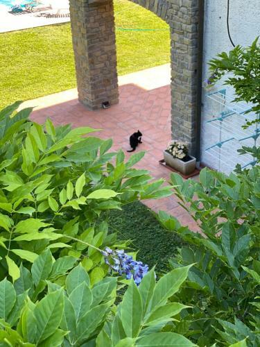 Bed & Breakfast La Giorgetta