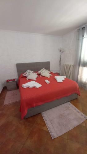 Hostal Appartamento In Zona Residenziale