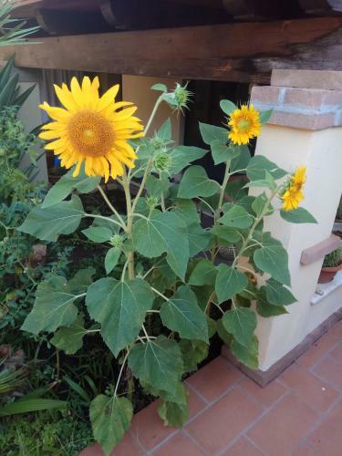 Hostal Appartamento In Zona Residenziale