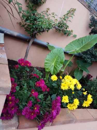 Hostal Appartamento In Zona Residenziale