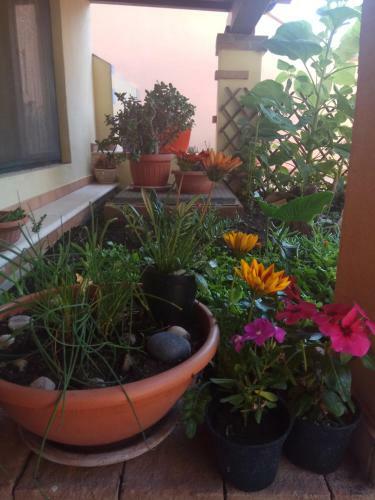 Hostal Appartamento In Zona Residenziale