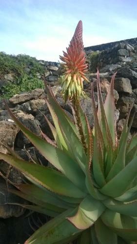 La Palma