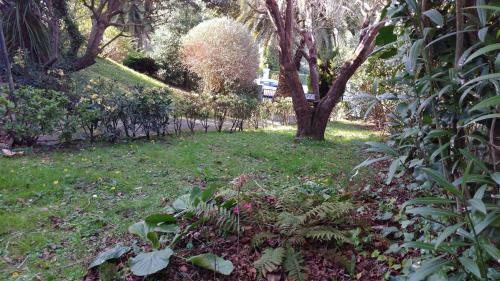 Apartamento Hillside View