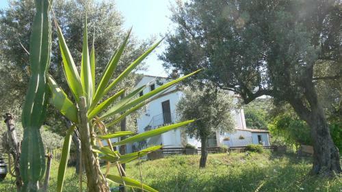 Agroturismo Agriturismo Serre