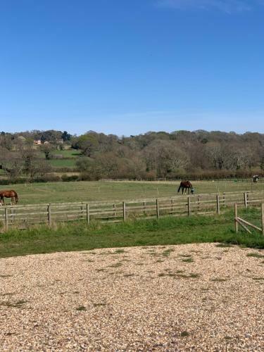 Glamping In Traditional Huts