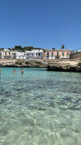 Appartamento Marino Summer