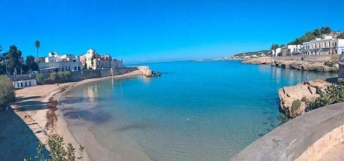 Appartamento Marino Summer