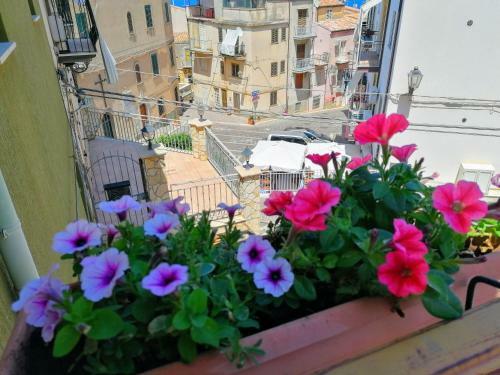 Apartamento Alba