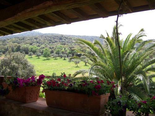 Apartamento Podere Il Carpiano
