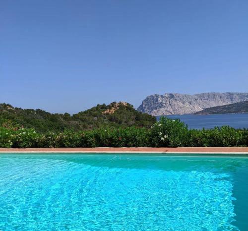 Apartamento San Teodoro Punta Est Ampio Trilocale Vista Mare
