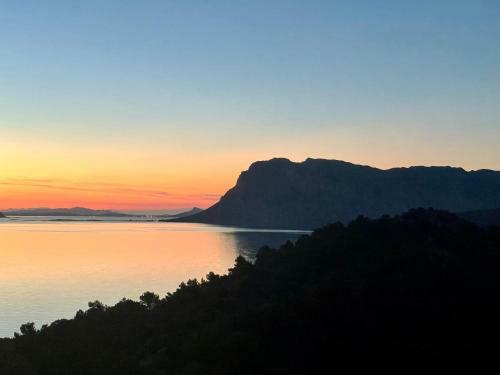 Apartamento San Teodoro Punta Est Ampio Trilocale Vista Mare