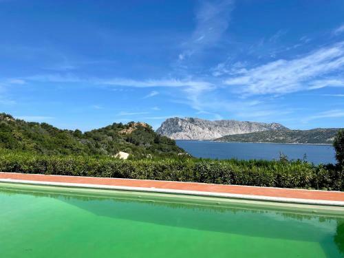 Apartamento San Teodoro Punta Est Ampio Trilocale Vista Mare