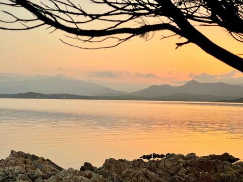 Apartamento San Teodoro Punta Est Ampio Trilocale Vista Mare