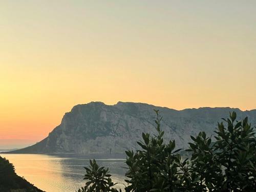 Apartamento San Teodoro Punta Est Ampio Trilocale Vista Mare