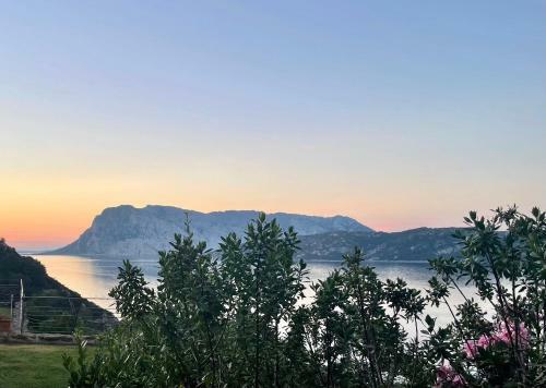Apartamento San Teodoro Punta Est Ampio Trilocale Vista Mare