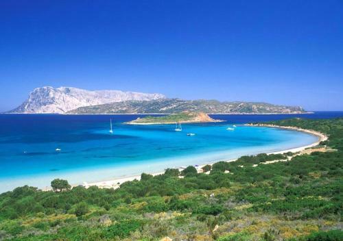 Apartamento San Teodoro Punta Est Ampio Trilocale Vista Mare