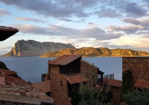 Apartamento San Teodoro Punta Est Ampio Trilocale Vista Mare