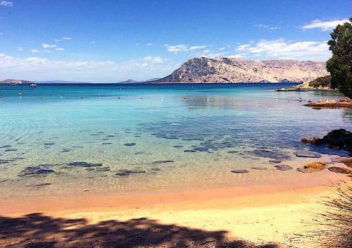 Apartamento San Teodoro Punta Est Ampio Trilocale Vista Mare