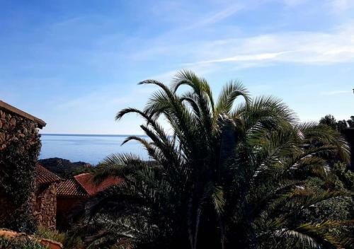 Apartamento San Teodoro Punta Est Ampio Trilocale Vista Mare