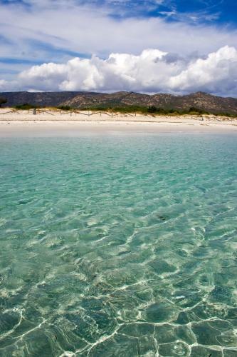 Apartamento San Teodoro Punta Est Ampio Trilocale Vista Mare