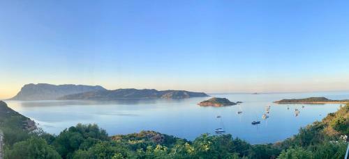 Apartamento San Teodoro Punta Est Ampio Trilocale Vista Mare