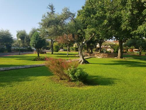 Appartamento Da Francesco Villaggio Degli Ulivi San Teodoro