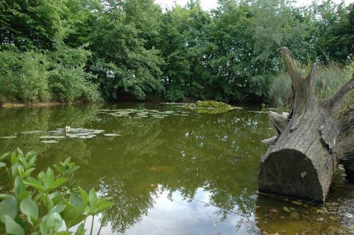 Bed & Breakfast De Groene Pleisterplaats