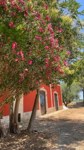 Masseria Elefante