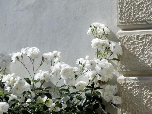 Bed & Breakfast Villa Barberina