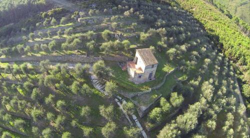 Campo Dei Lupi Agriturismo
