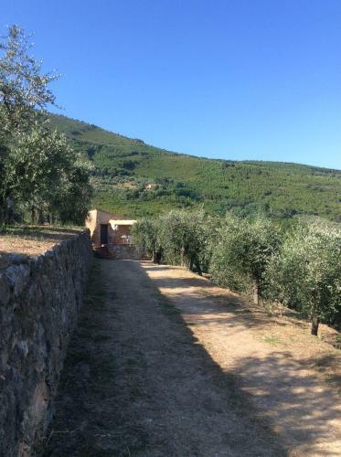 Campo Dei Lupi Agriturismo