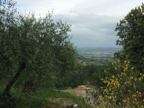 Campo Dei Lupi Agriturismo