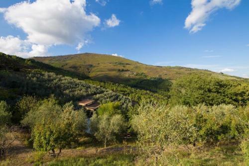 Campo Dei Lupi Agriturismo