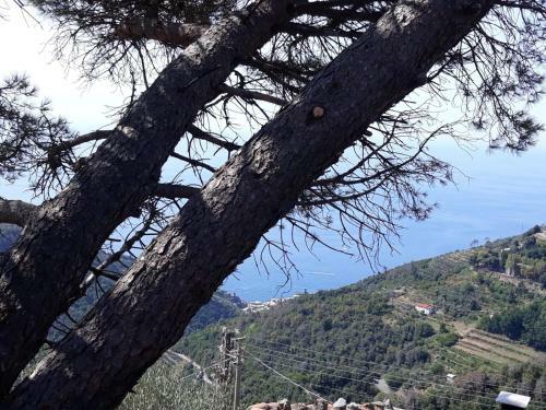 Apartamento Chez Il Pino