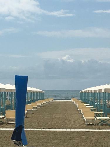 Apartamento Citt� Giardino