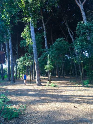 Apartamento Citt� Giardino