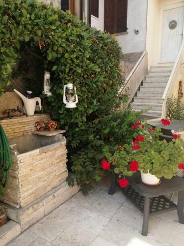 Casa Vacanze