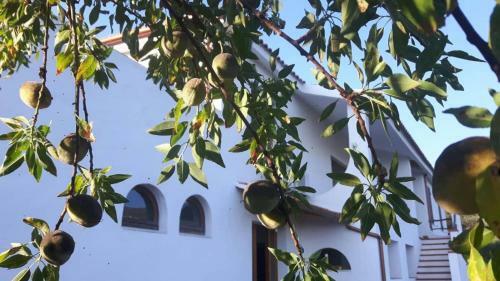 Hostal Salmagilandia