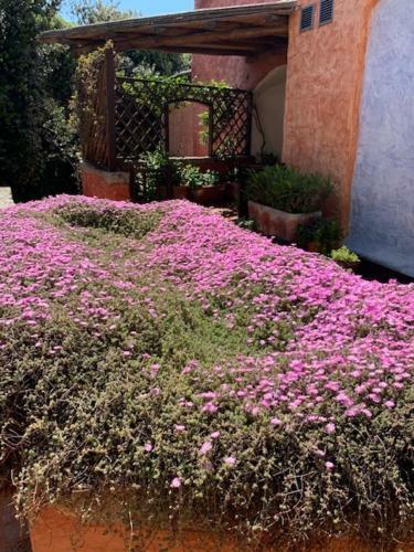 Apartamento Porto Cervo Prestige