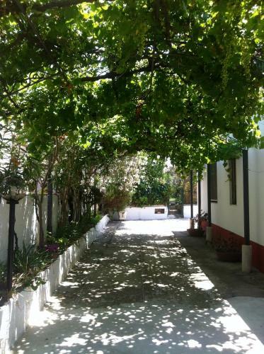 Casa Vacanze Paestum - Cilento