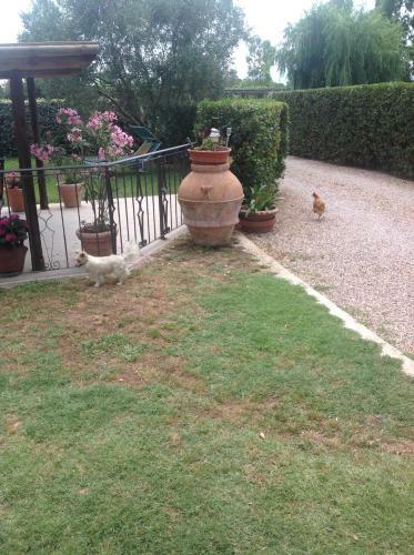 Agroturismo Villa Trieste