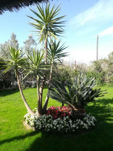 Apartamento Belloretta - Il Furio