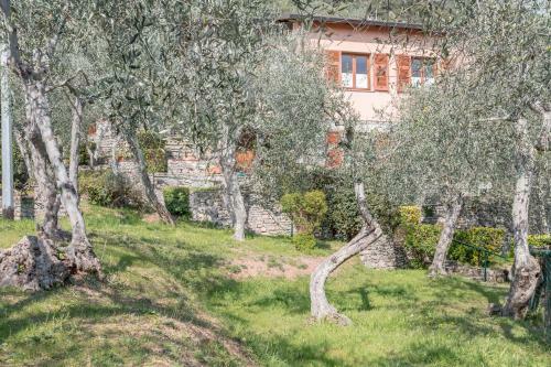 Villa Tular 981