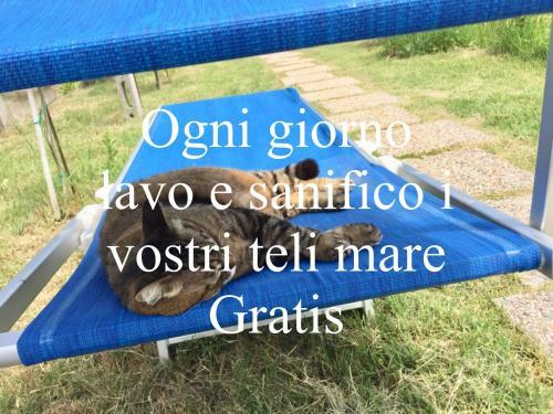 B&B I Guardiani Dell'orto