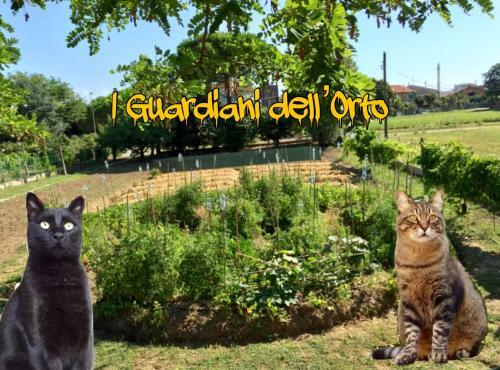 B&B I Guardiani Dell'orto