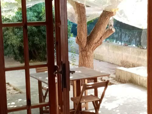 Apartamento Obl�