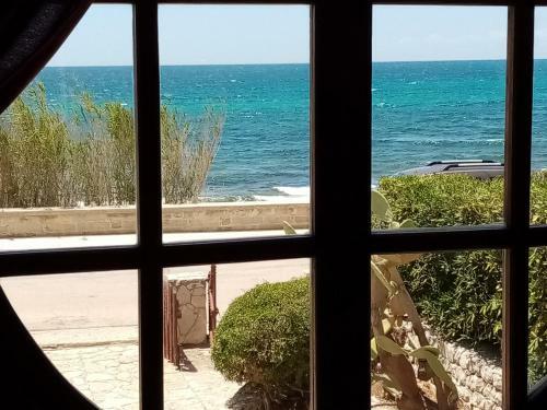 Apartamento Obl�